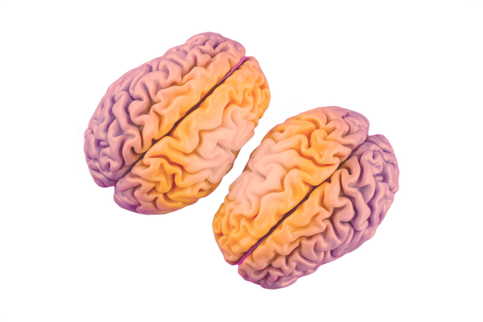 Alyea Therapeutics Media